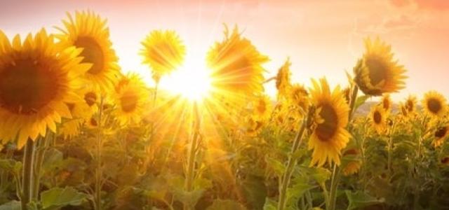 Financial Summer Journey In 2021 | Viaggio Wealth Partners